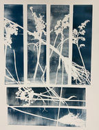 2026-08-11 Workshop Botanisch Monoprinten - Baukje Duin
