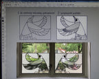 2026-10-29 Glass eye (ontwerpprogramma) basiscursus- Desiree Dreissen